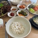 청정바지락칼국수，보리밥
