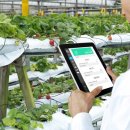 말밭농장 이미지