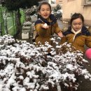 승아농장 이미지