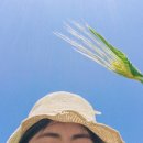 고잔농장 이미지