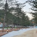 돌고래 오토 캠핑장 이미지