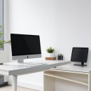 백년튼튼 정형외과 재활의학과의원 | 허리 건강 유지와 회복을 위한 필수 관리 원칙