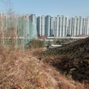 백운공원 배드민턴장 이미지