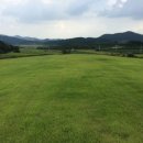 성산태양광발전소 이미지