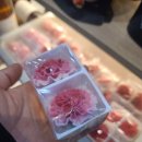 삼원상사 - 사상구 괘법동 | 삼원상사