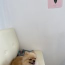 카페위드멍냠 이미지