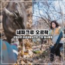 국립공원공단 국립공원연구원 북부보전센터 | 네파 크루 오르락 산양봉사활동 국립공원 야생생물보전원 후기