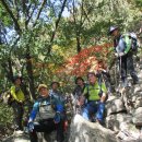 용문사 일주문 이미지