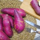 금성농산(주) 이미지