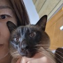 외도 노래연습장 이미지