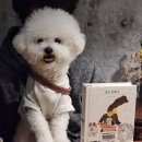 카페티그레 이미지