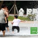 소양댐시민숲공원 이미지