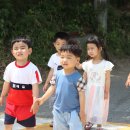 산새들어린이집 이미지