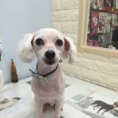 오송프렌즈샵