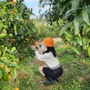 매일2농장 이미지