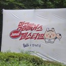 사농그린크리닝세탁소 | 망곰베어스 페스티벌