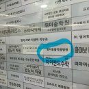 정자현대동물병원 이미지