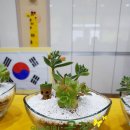 대구효령초등학교 이미지