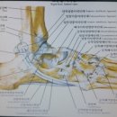 보담한의원 이미지