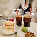 5637 | 잠실 송리단길 두쫀쿠 말차맛 파는곳 로피(LOFFEE) 내돈내산 후기 (+주차 가능!)