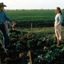 컨트리주유소 이미지