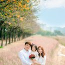 홍군스냅