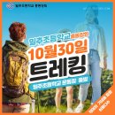 밀주초등학교 이미지