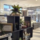 모아그린드라이방 | 요나고역 숙소 위치 가격 좋은 그린리치 호텔 솔직후기