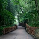 H.A.D모터스 이미지