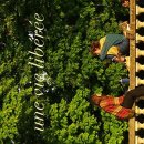 「무정형의 삶」 북토크 이미지