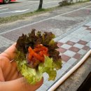 [화성 남양읍] 상록회관 연탄구이 화성남양점 맛있는 후기