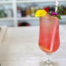 충의농장 이미지