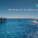 영덕신발 이미지