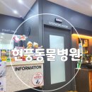 현풍 동물병원 이미지