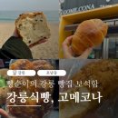 아빠랑 식빵이랑 | 강릉 빵집 추천 BEST 2｜강릉식빵·고메코나 솔직후기, 빵추천