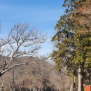 대흥사 서산대사박물관 이미지