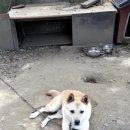 태백자동차검사소 이미지