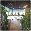 포항 연일 꽃집 『 꽃을든남자 』 화분구매 솔직후기 (몬스테라, 하트아이비)