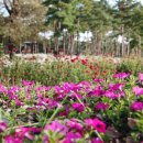 구월초등학교 이미지