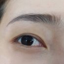 오래쉬(OLASH)
