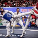 국가대표 올림픽 태권도장 이미지