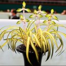 웅비축산 이미지