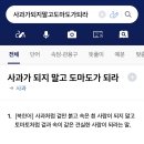 사과가되지말고도마도가되라
