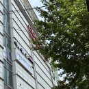 천안 두정동 속눈썹펌 잘하는곳 단하나 후기 추천