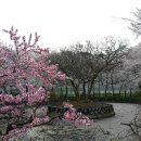 배산공원 주차장 이미지