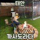 까사인 | 태안 까사도라다 : 독채팬션 후기 [자쿠지,바베큐,불멍]