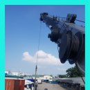 크레인위드