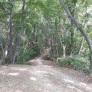 장안초등학교(마을) 이미지