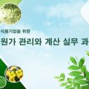 이에스티컨설팅