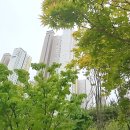 송도투데이공인중개사사무소 이미지